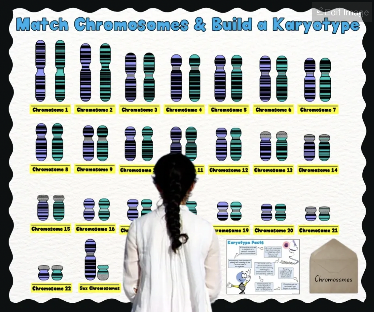 3 Creative Science Bulletin Boards for High School - Big Red Science